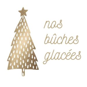 Bûche glacée RÊVE DES ILES